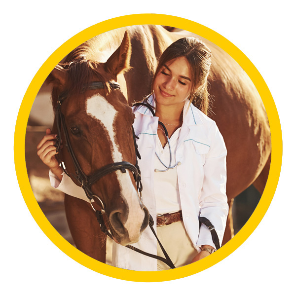 Equine veterinarian standing next to a horse