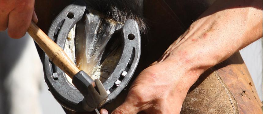 Farrier shoeing a horse