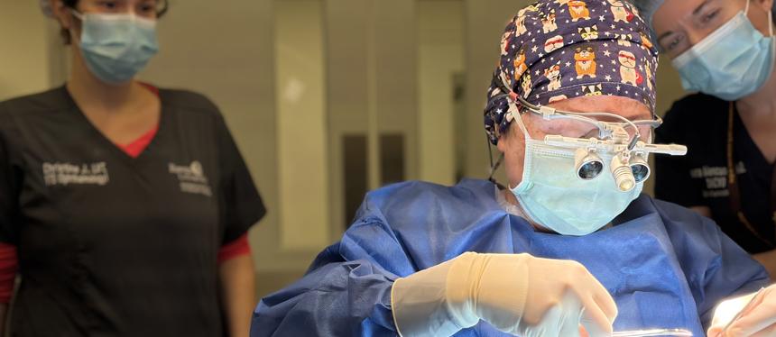 Veterinary Ophthalmologist exams a dog's eyes with a slit lamp