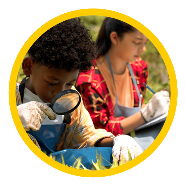 students examine butterflies and insects in grass