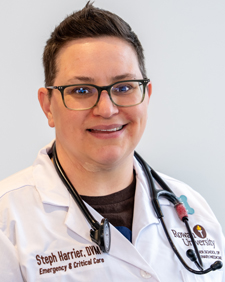 Steph Harrier, DVM