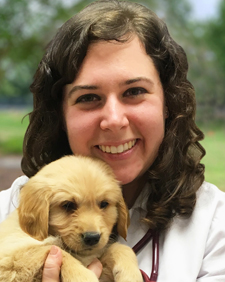 Kaitlyn Krebs, DVM, MBA
