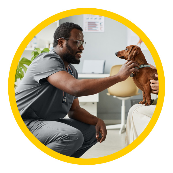 Veterinarian kneeling down and petting a dog